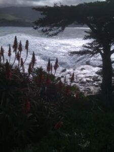 Carmel Coast